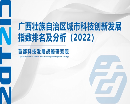 啊啊啊……操得逼逼好爽视频【成果发布】广西壮族自治区城市科技创新发展指数排名及分析（2022）